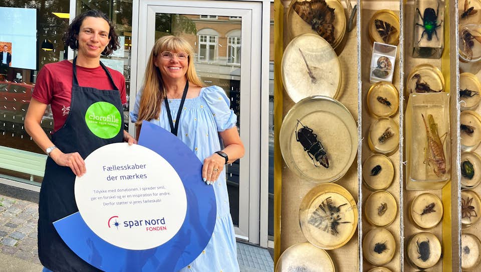 8110 Østerbro · Nyhedsrummet · Clorofille