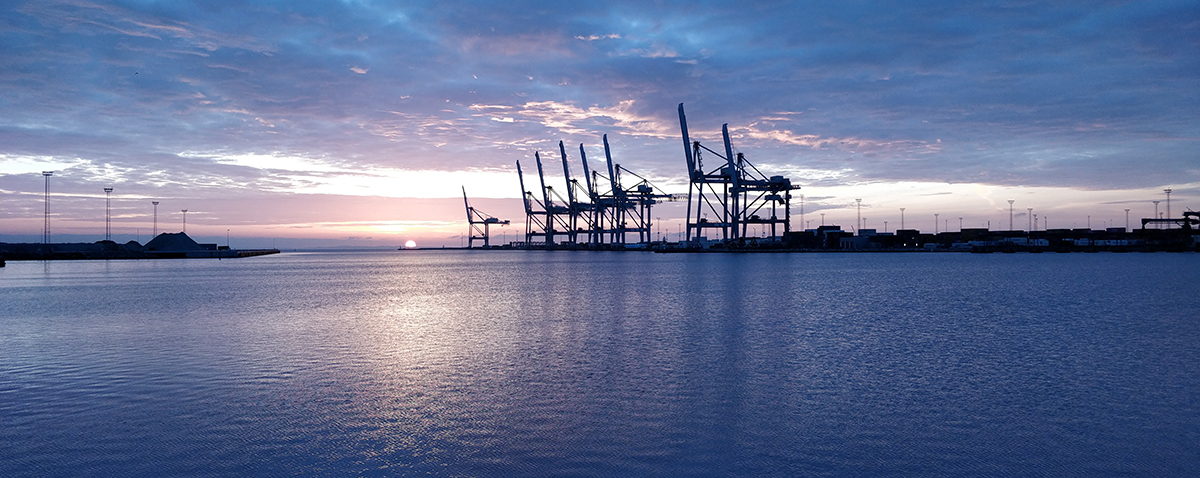 Aarhus Havn 1200X478