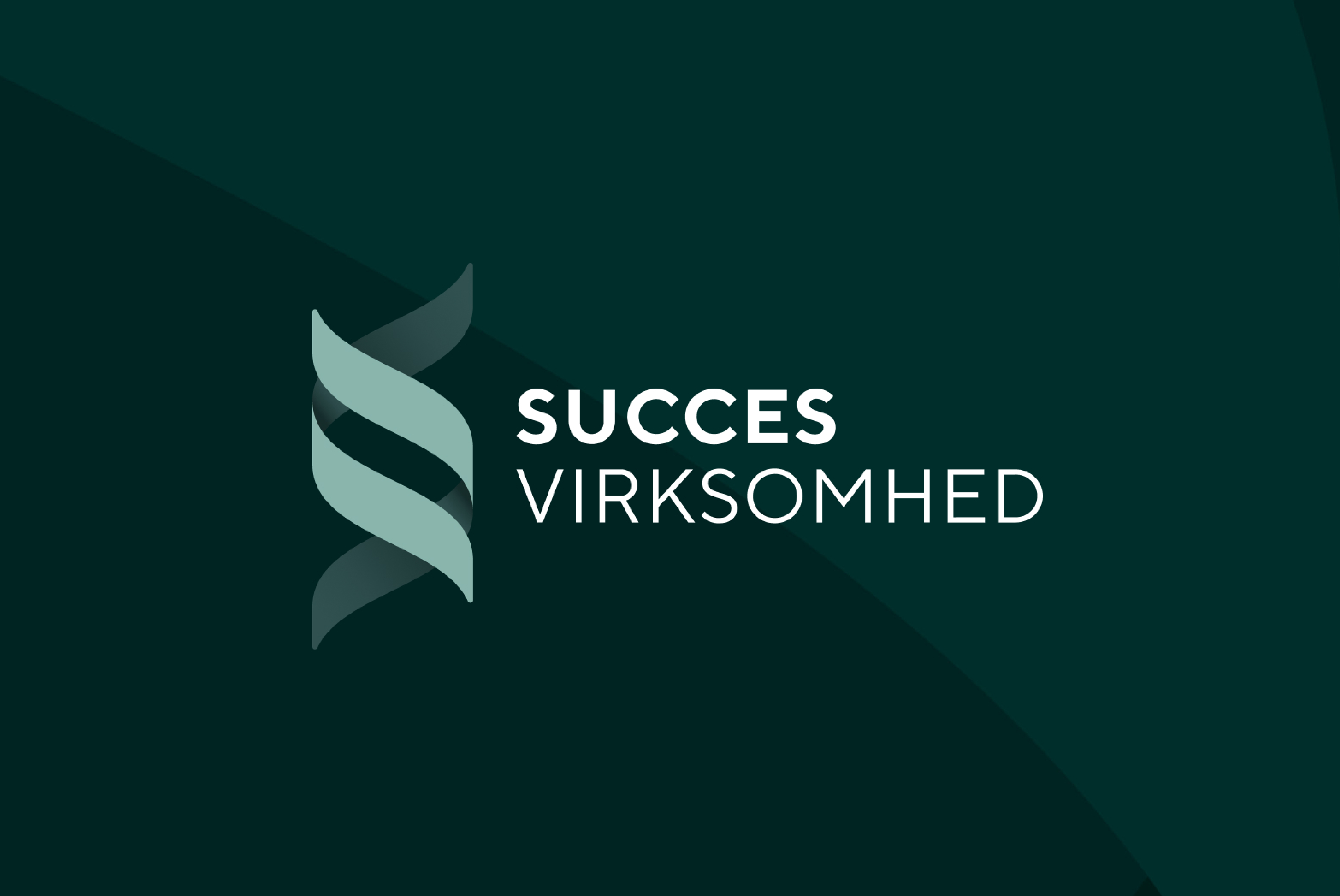 Succesvirksomhed.Dk · Hero 1