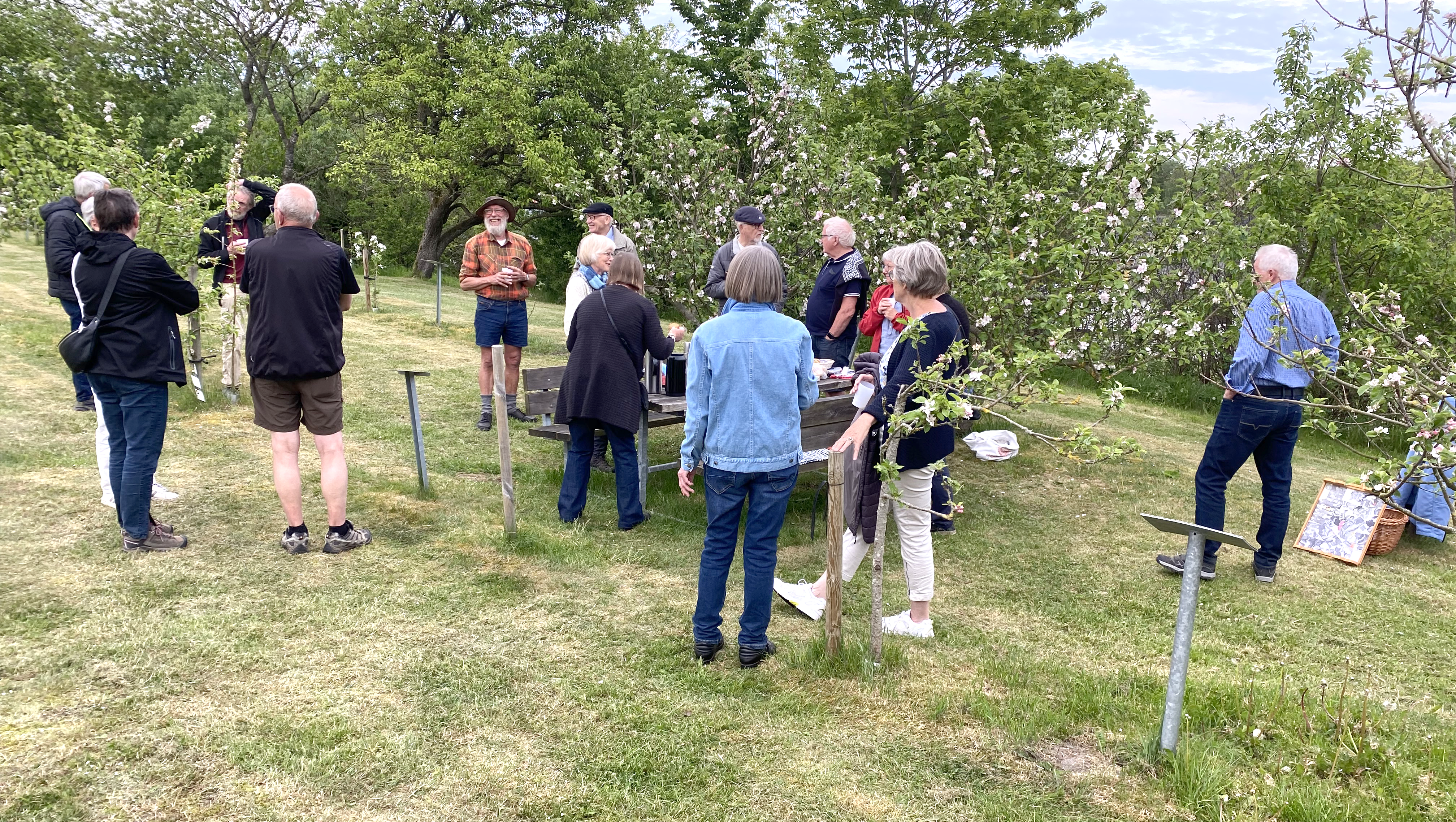 6188 Støvring · Nyhedsrum · Æbleplantage (1)