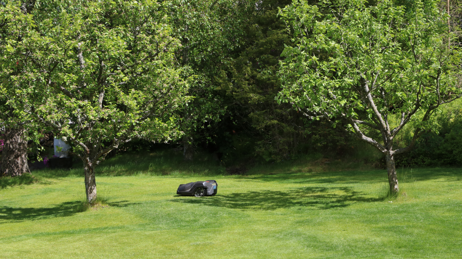 Rosenholm Have & Park 1600X900