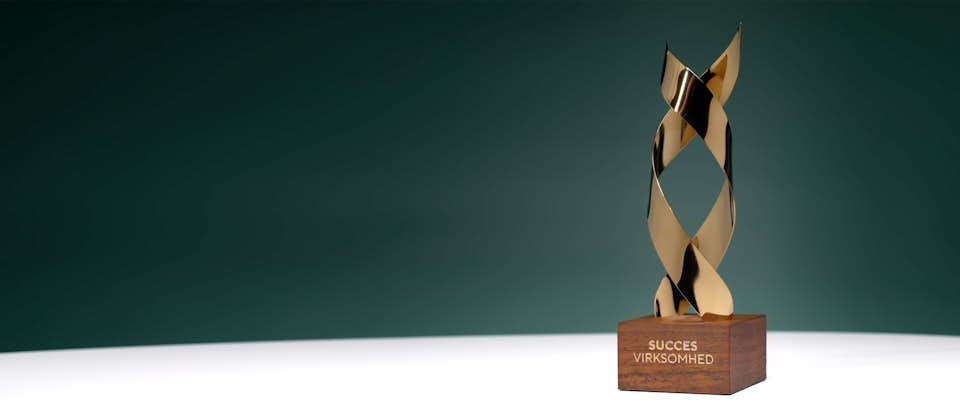 Succesvirksomhed.dk · Hero 6.jpg
